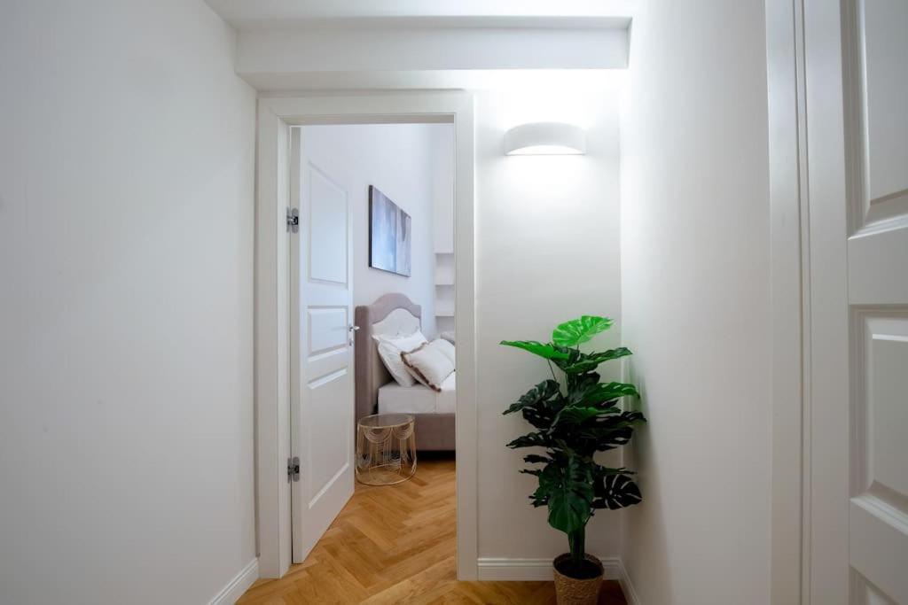 Dimora Nuvola Apartament فلورنس المظهر الخارجي الصورة
